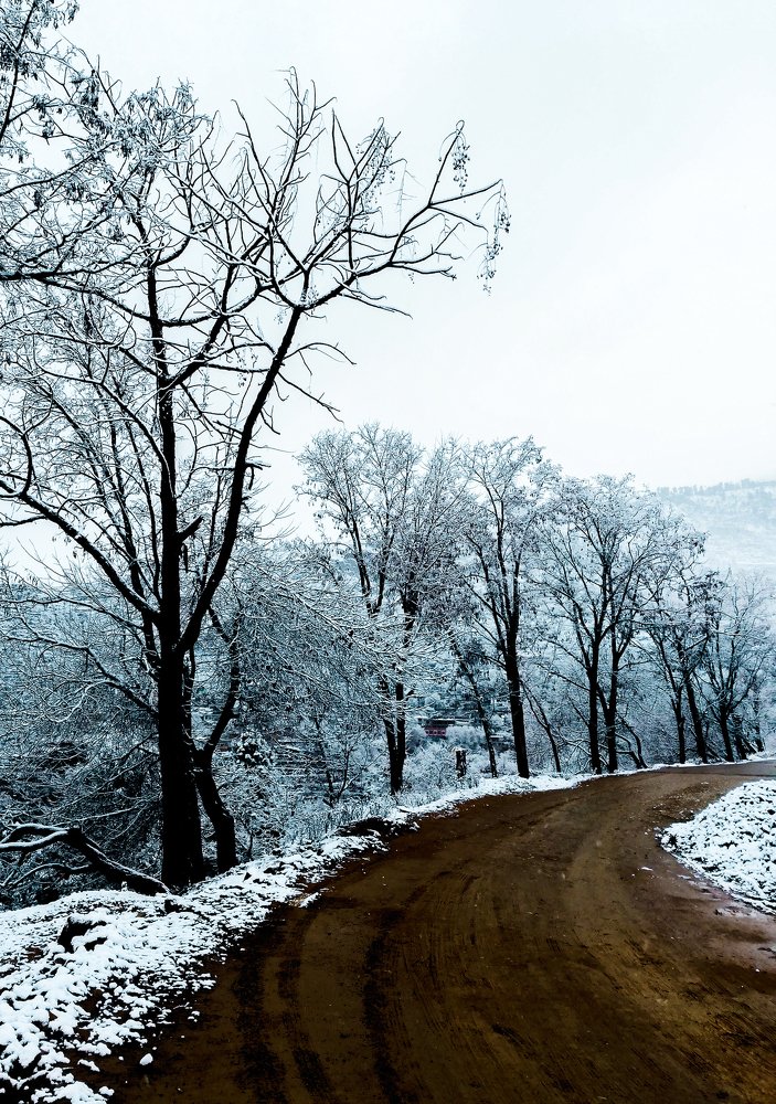 Photograph by Zaib Shaikh