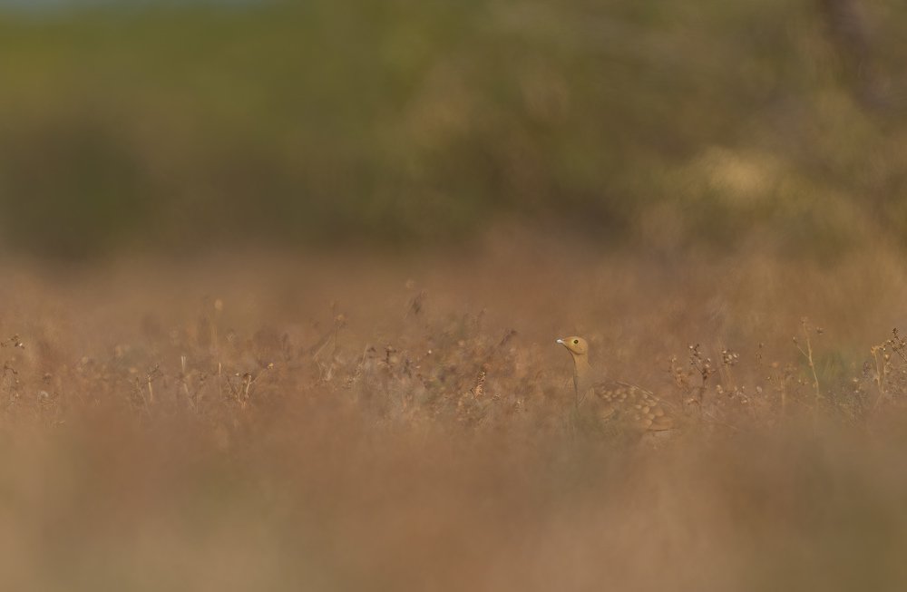 Photograph by Zhayynn James