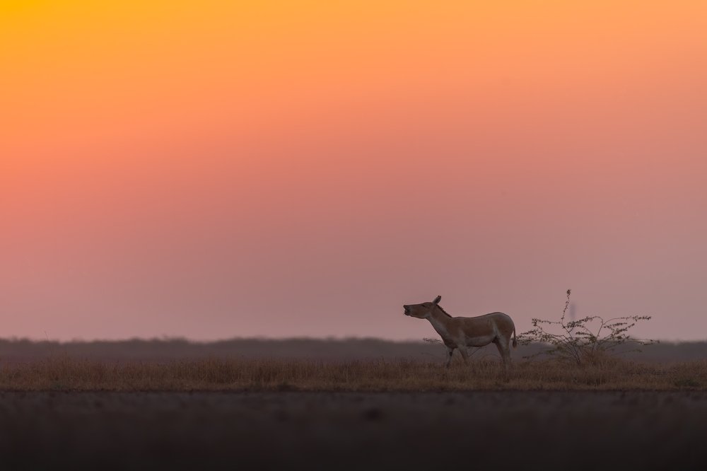 Photograph by Zhayynn James