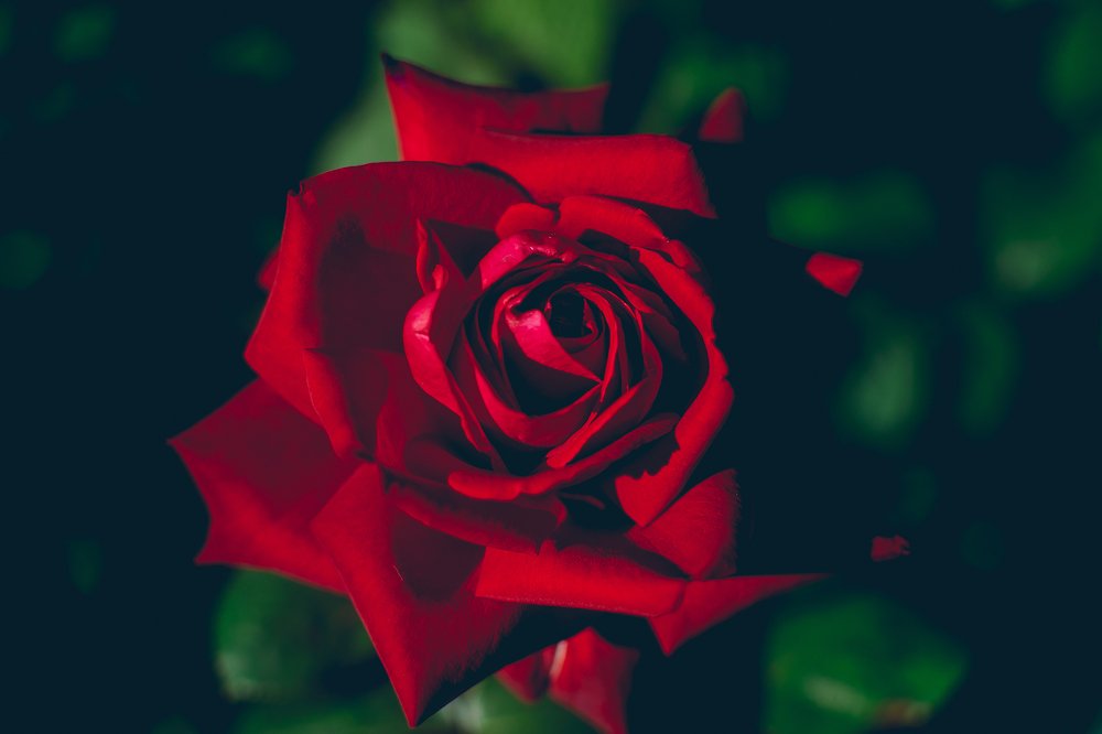 Photograph by Nikita Baksheev