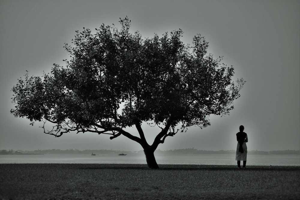 Photograph by Nazmus Sakib