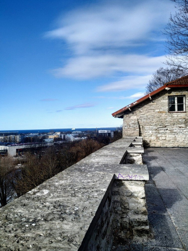 Photograph by Кильпио Антонина