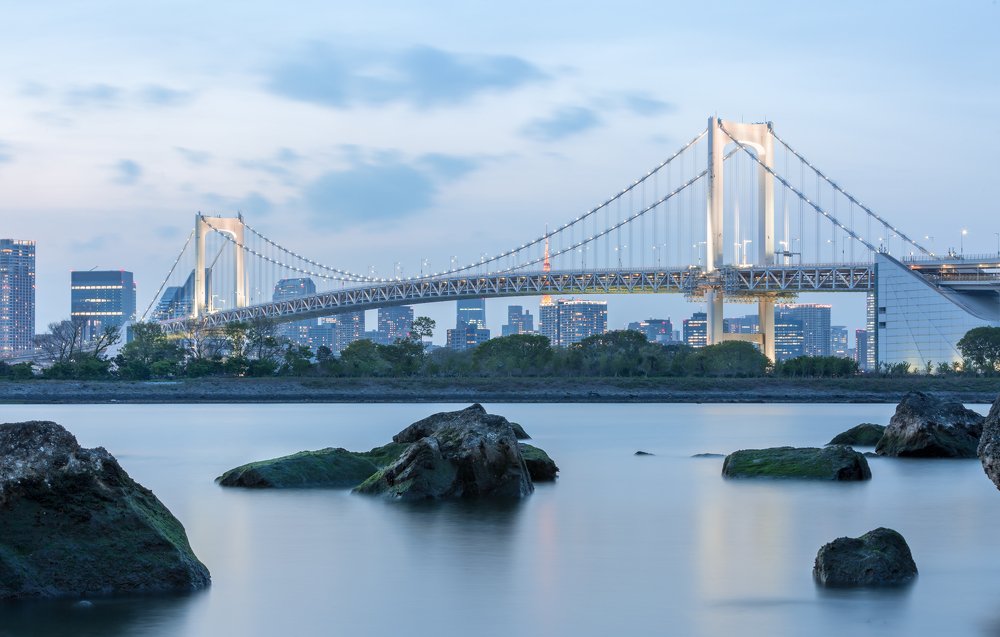 Фотография автора Елена Баврина