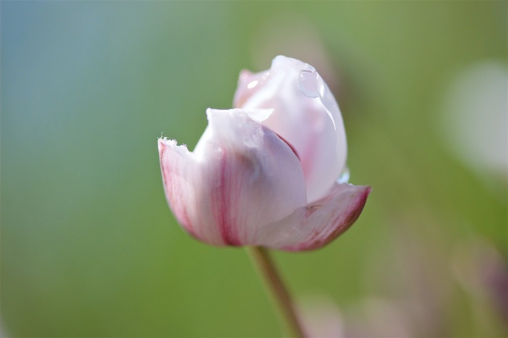 Photograph by Ирина Калямова