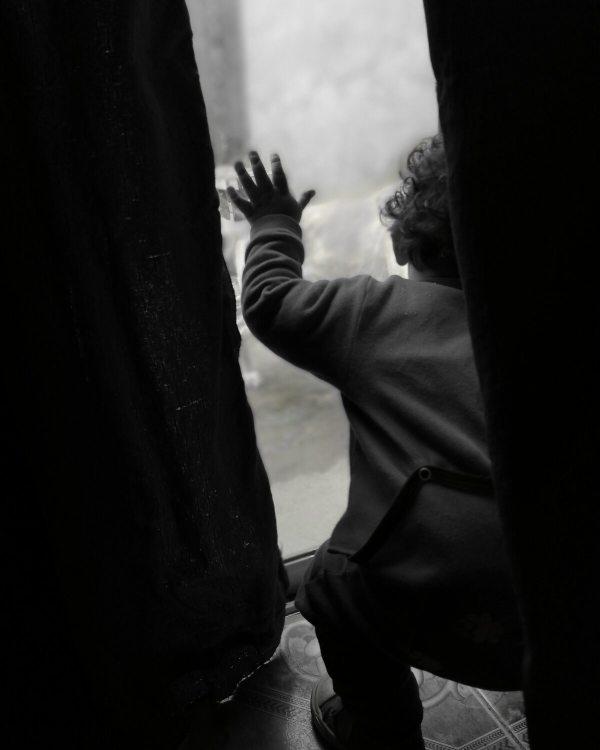 Photo #4373602