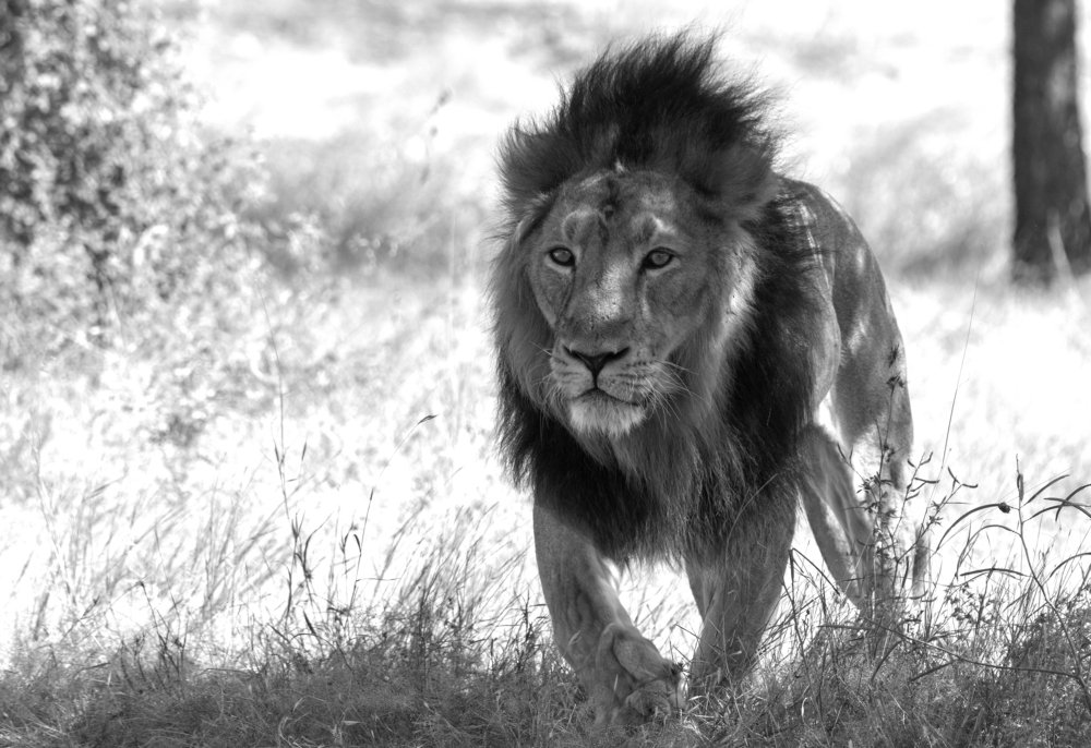 Photograph by Yagnesh Tailor