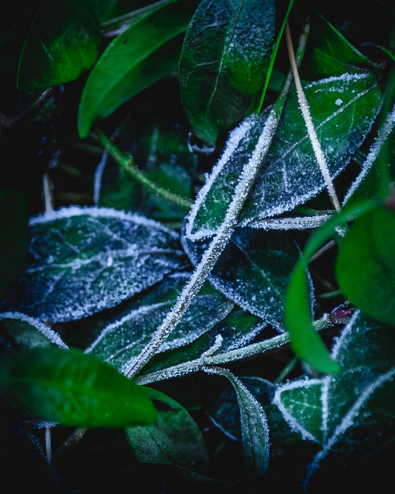 Photograph by Сергей Самарский