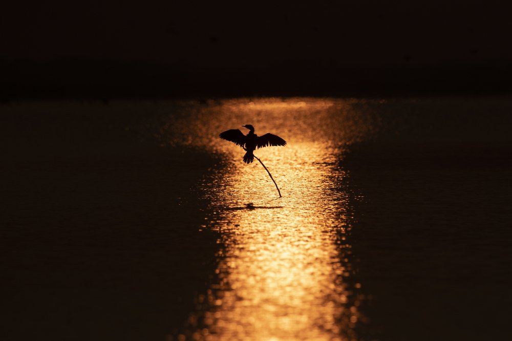 Photograph by Yagnesh Tailor