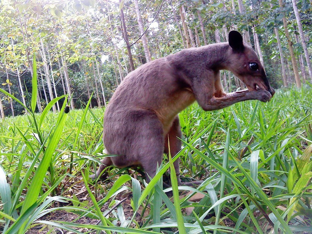 Photograph by Ferdy Tombiling