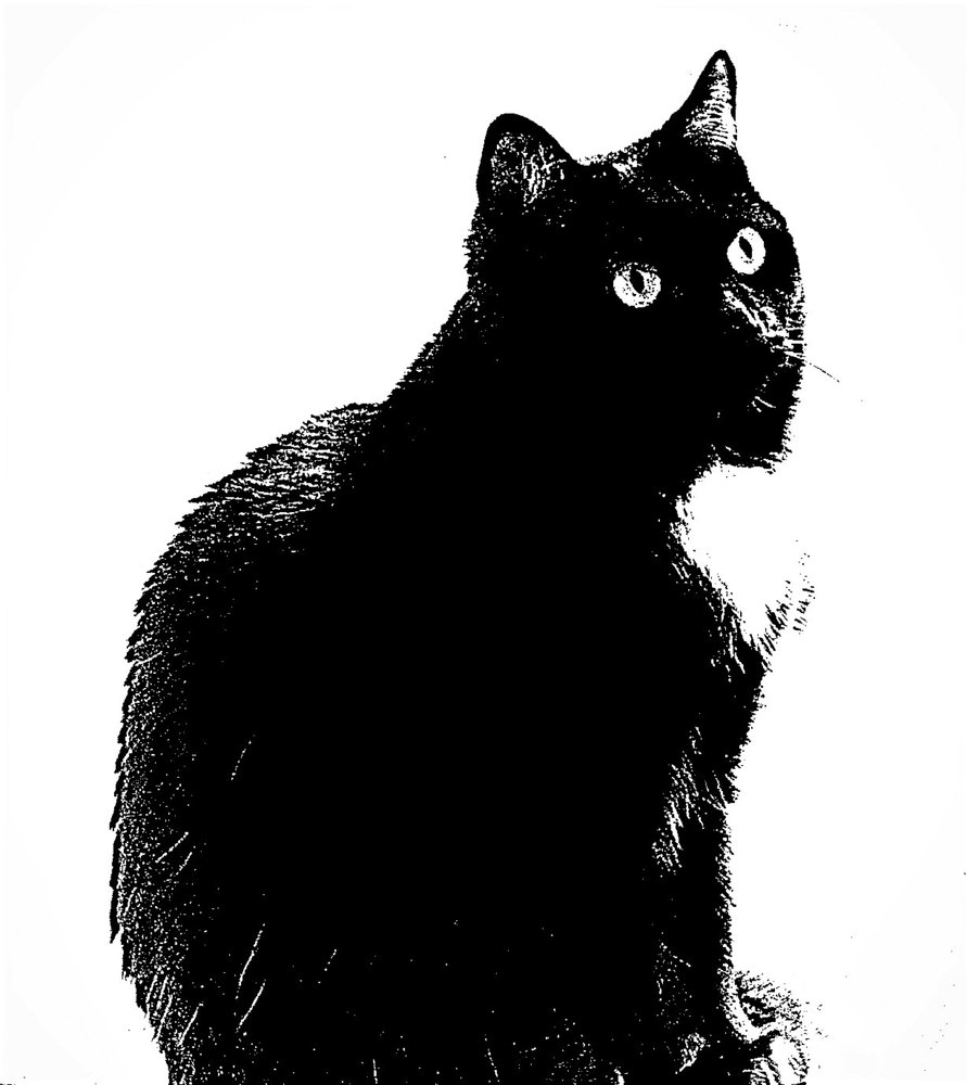 Photograph by Алия Байсыкова