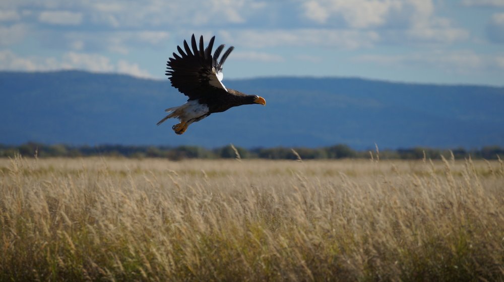 Photograph by Алексей Миронов
