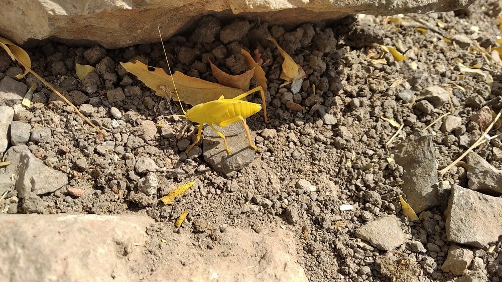 Photograph by Vinod Chavada