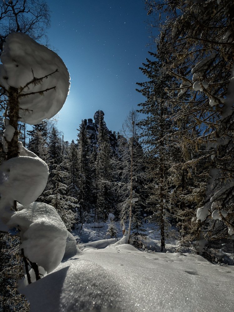 Сказка лунного леса.