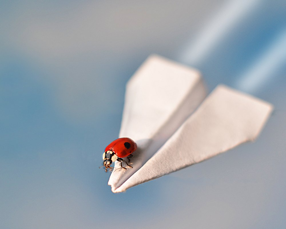 Photograph by Евгения Базарова