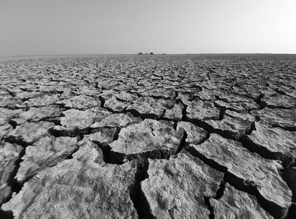 Photograph by Yagnesh Tailor