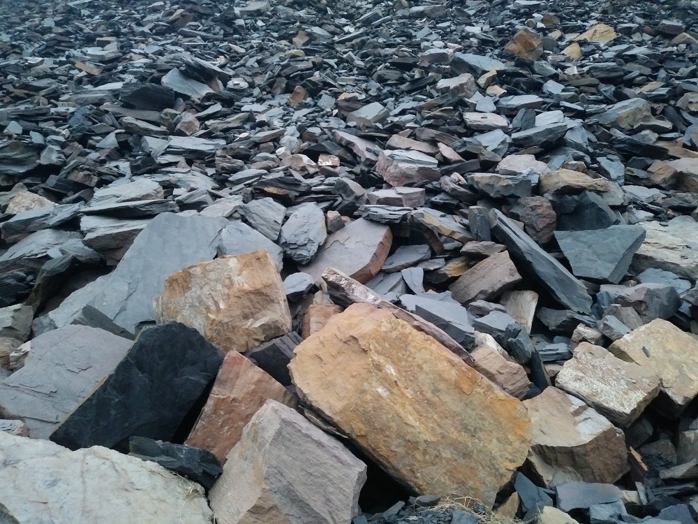 Фотография автора Mohit Patra