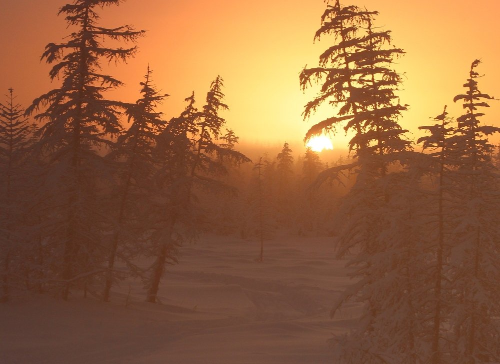 Photograph by Александр Велигура