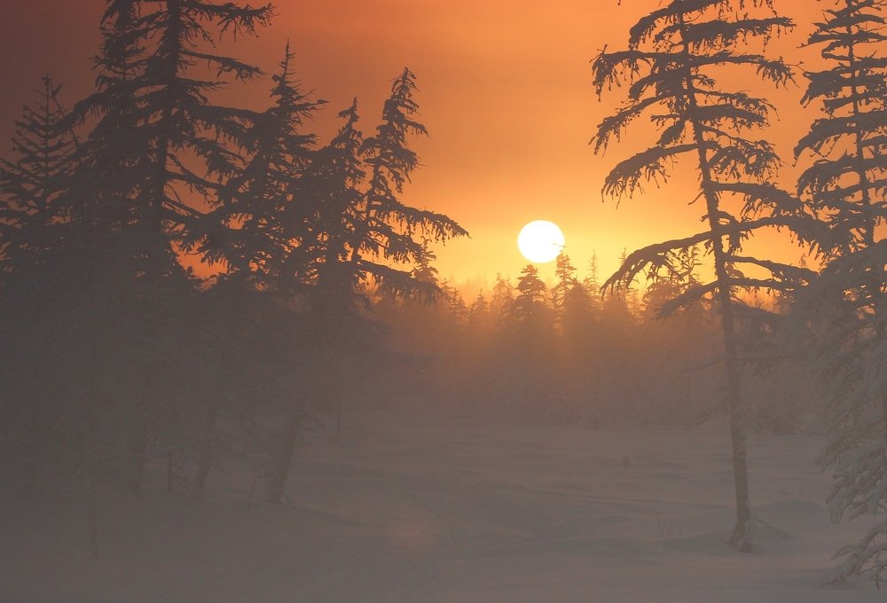 Photograph by Александр Велигура