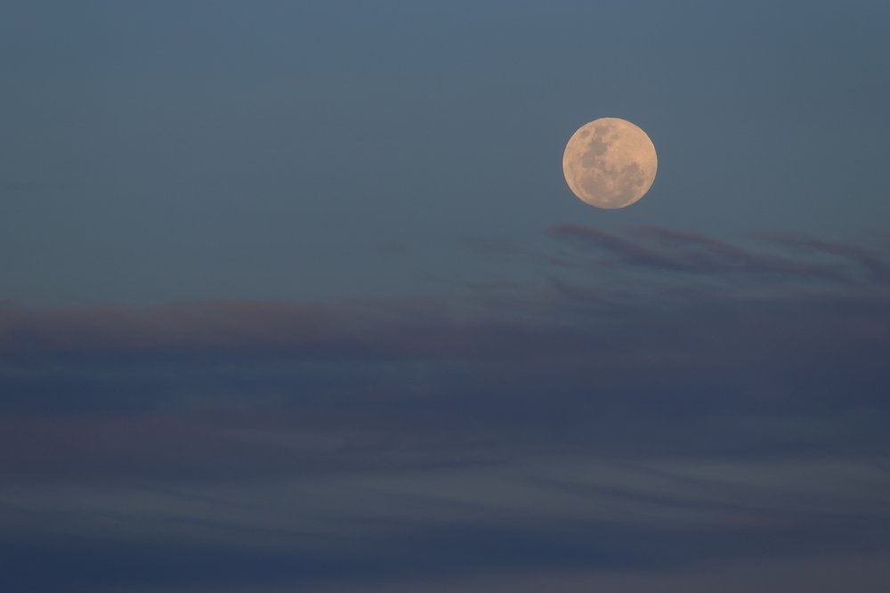 Photograph by Lucia Ana Juárez