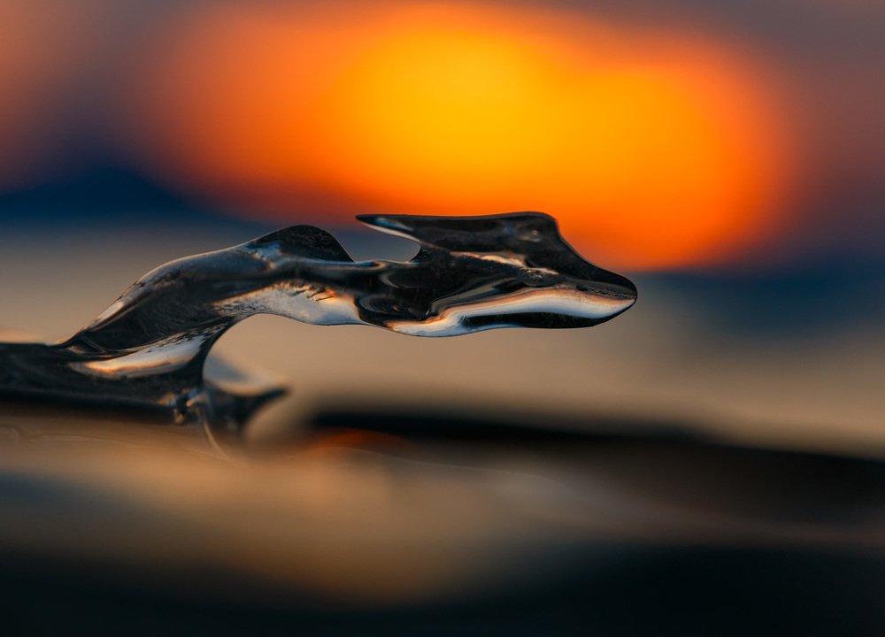 Ледяной дракон