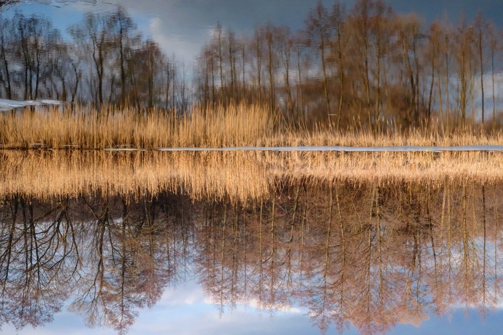 Photograph by Илья Панкратов