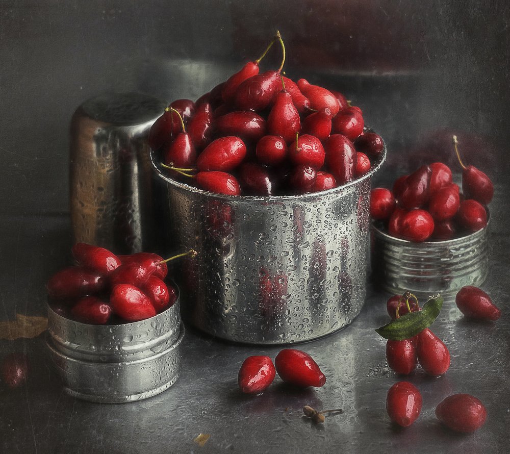 Photograph by Svoboda Andreeva