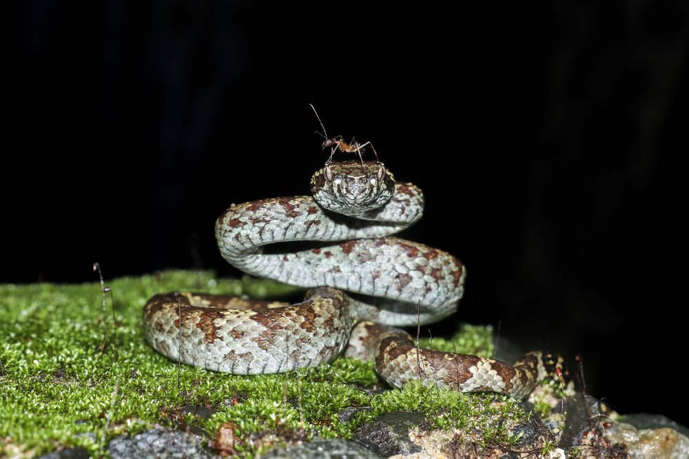 Photograph by Amish Changela