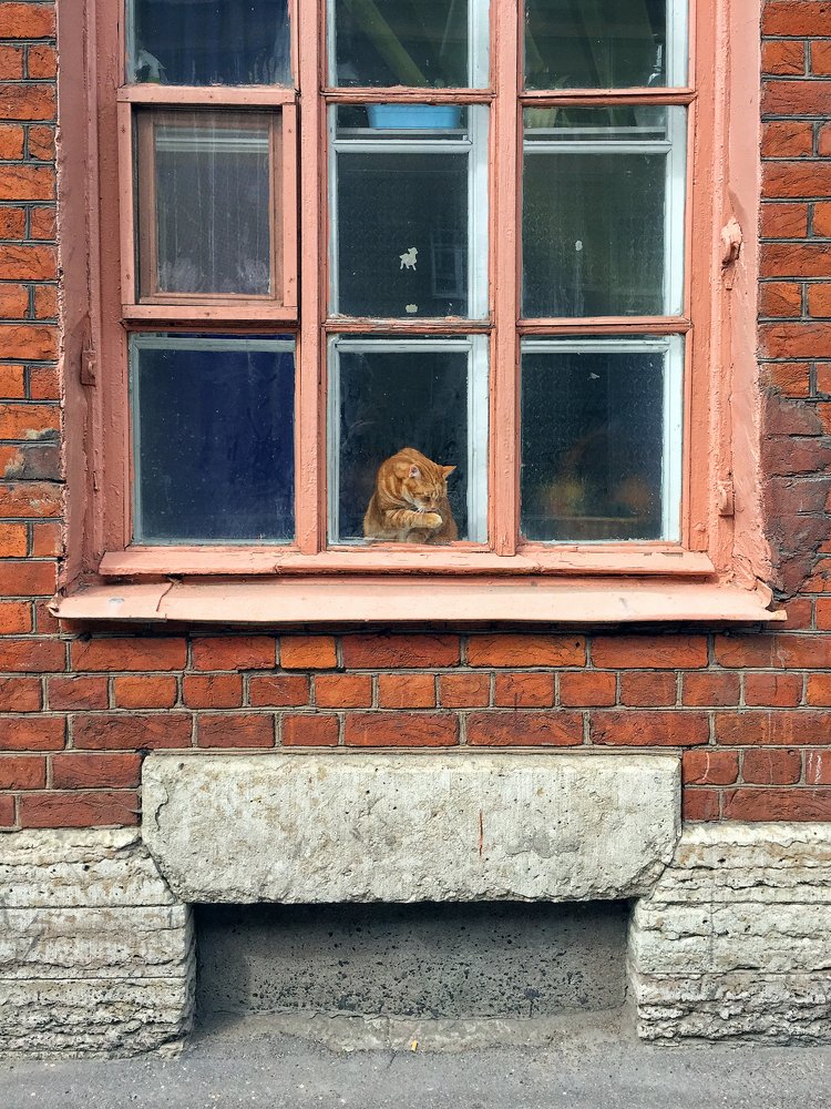 Надо, надо умываться!