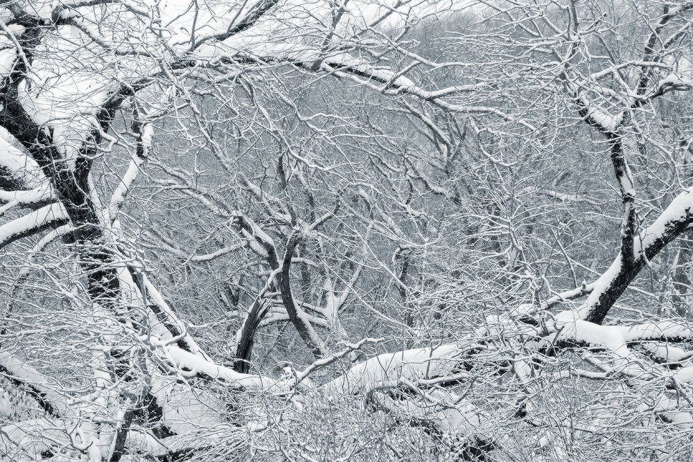 Photograph by Юсупов Александр