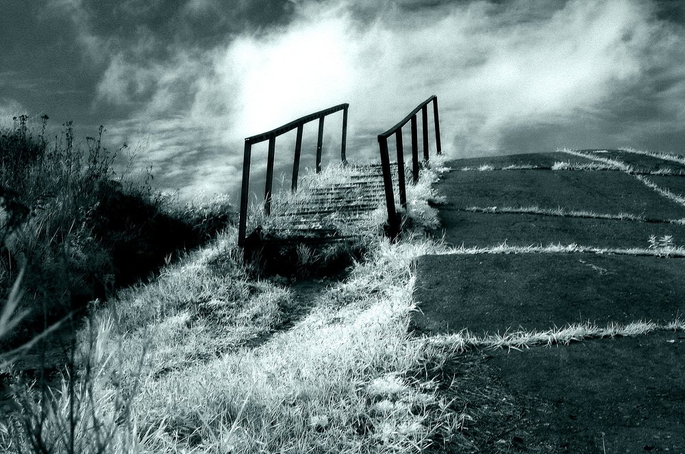 Photograph by Сергей Кузнецов