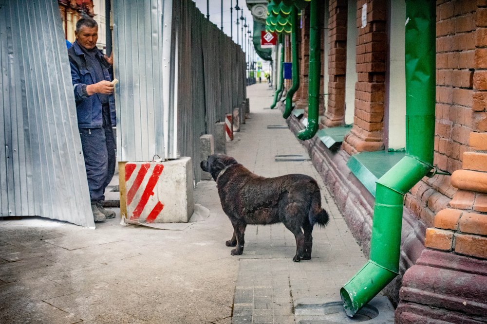 Photograph by Щербакова Галина