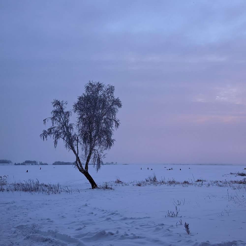 Photo #4374307