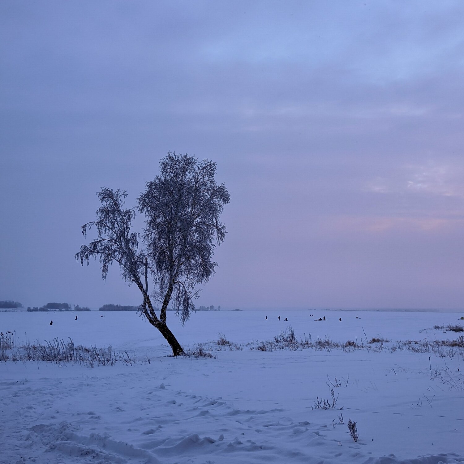Photo #4374307