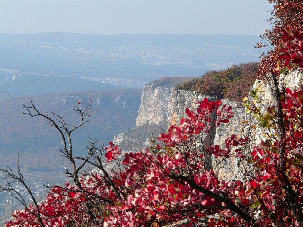 Photo #4374314