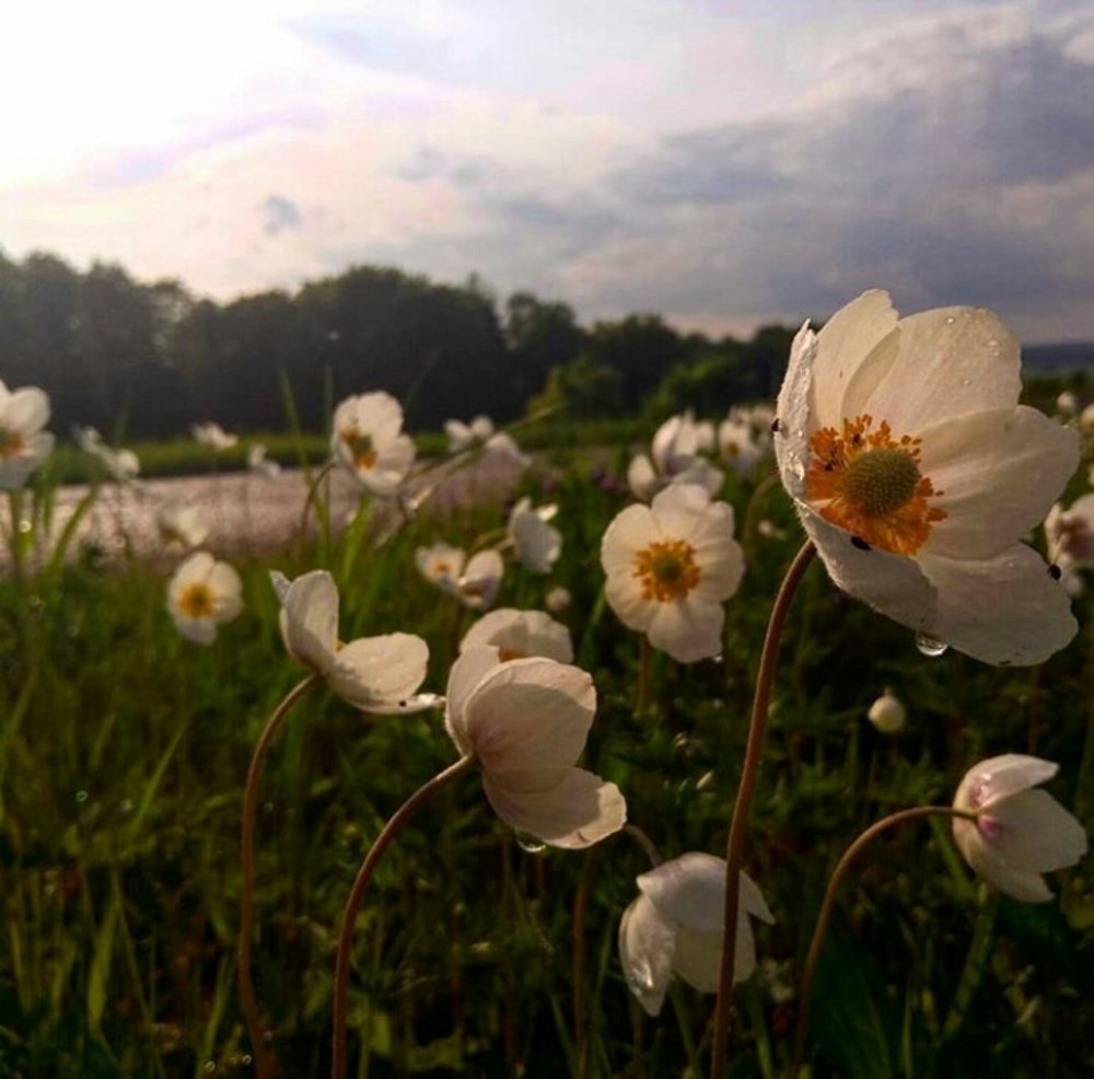 Photograph by Сабина Мустафина