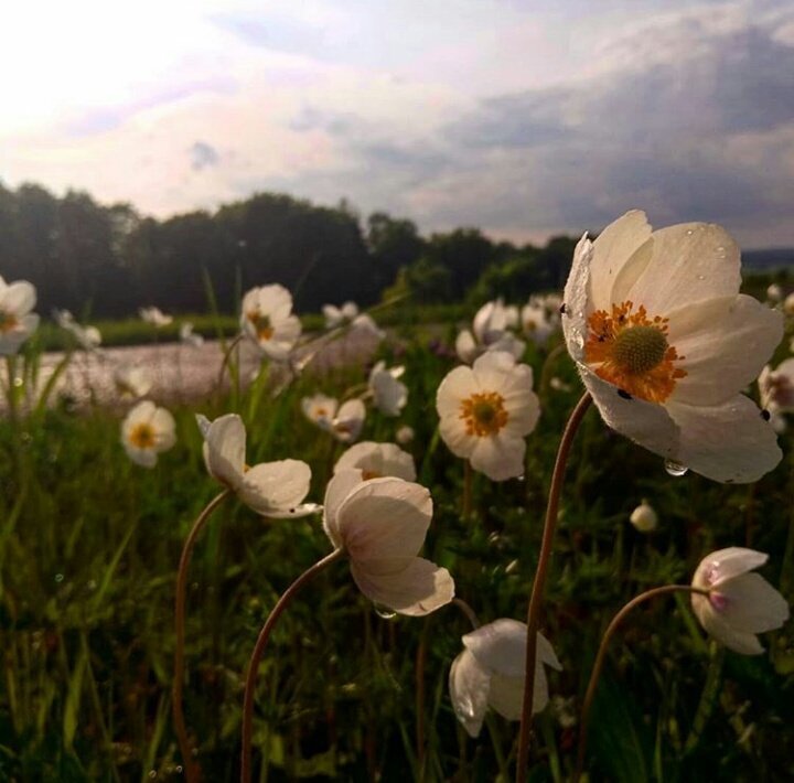 Photo #4374360