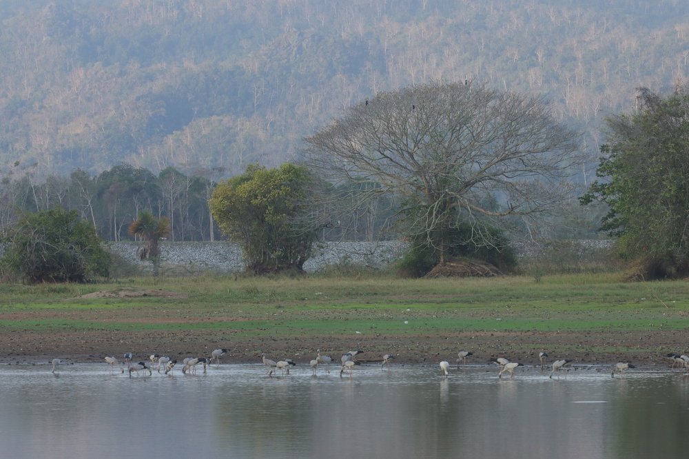 Photograph by rahim rahmad