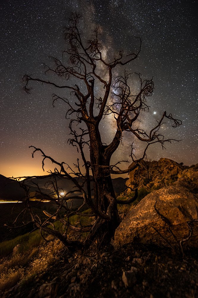 Photograph by Mehri Darvishali