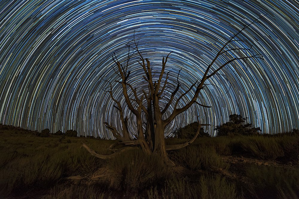 Photograph by Mehri Darvishali