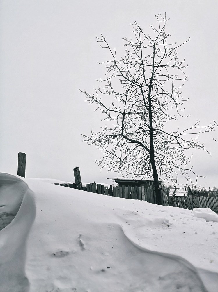 Photograph by Ирина Секачева