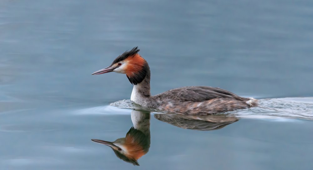 Photograph by Alexander Plekhanov