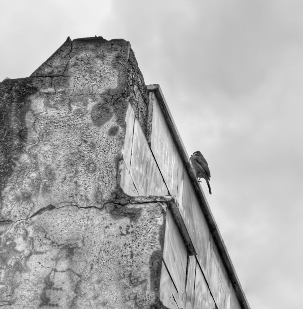 Photograph by porya sahraei