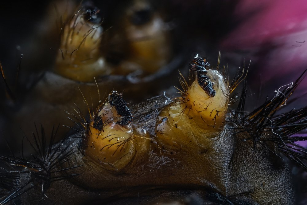 Photograph by Norberto Martínez