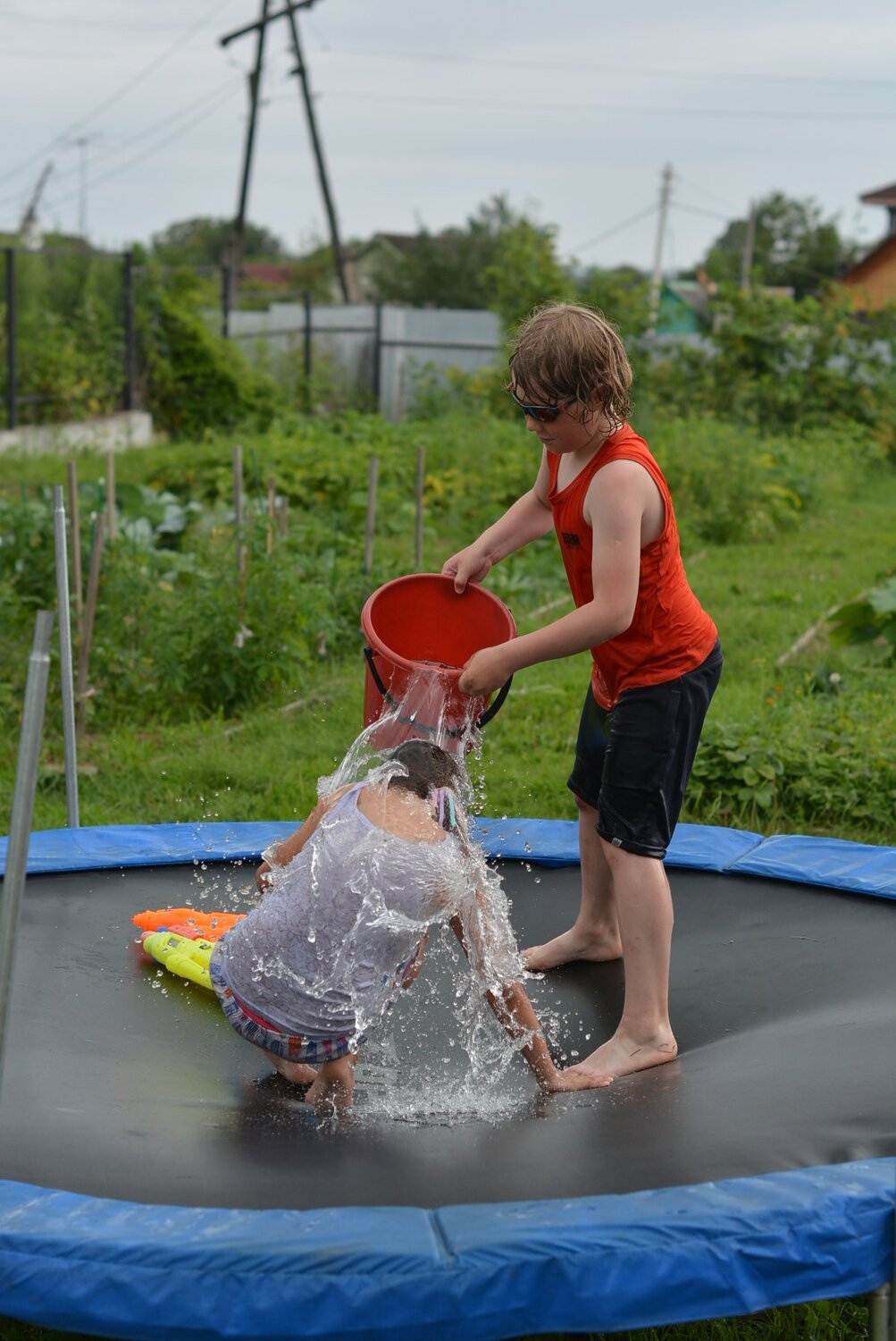 Photo #4374641