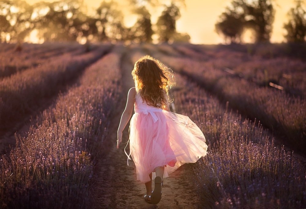 At the lavender field