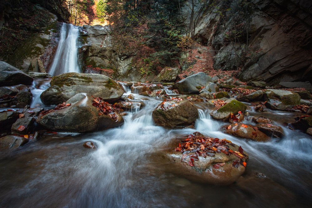 Photograph by iulian rotaru