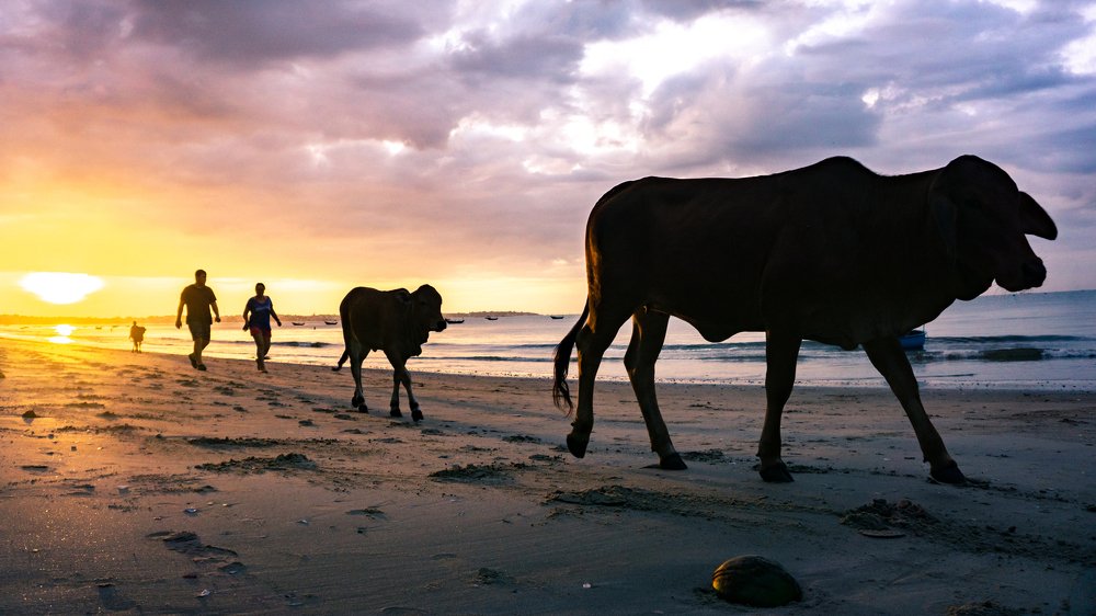 Photograph by Щербакова Галина