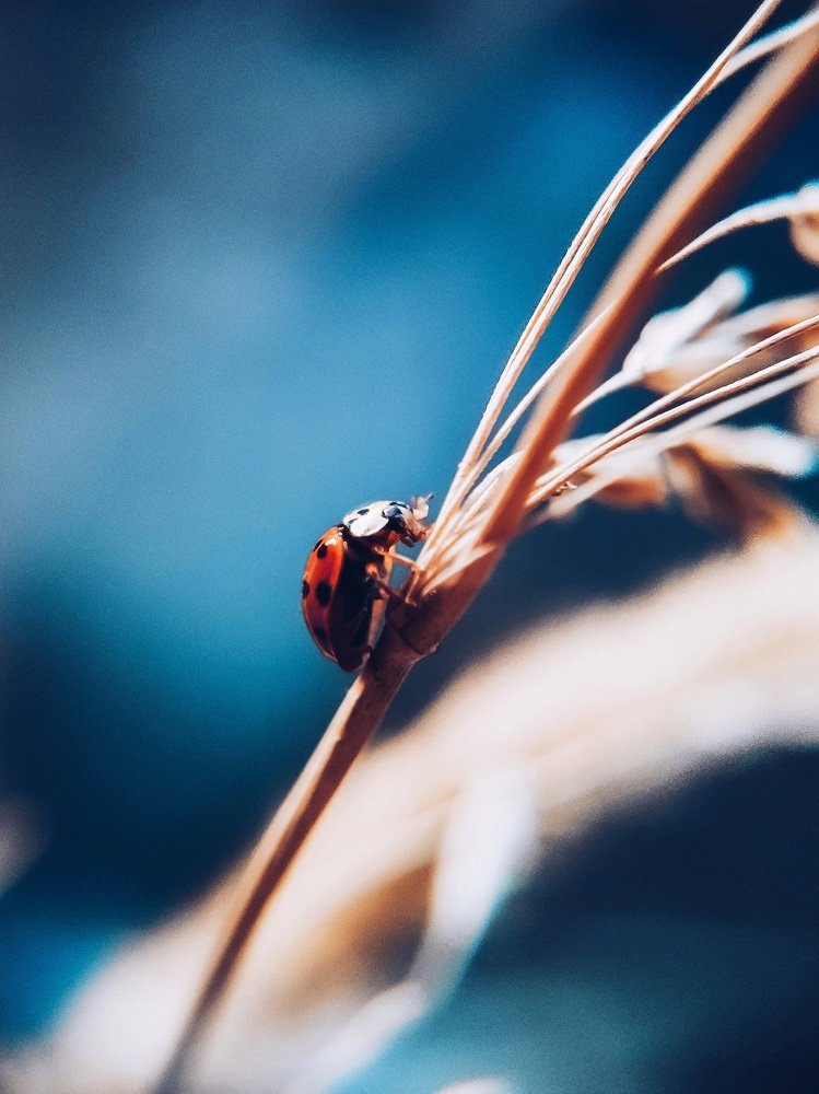 Photograph by Евгения Костырко