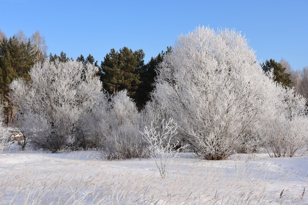 Photograph by Севостьянов Алексей