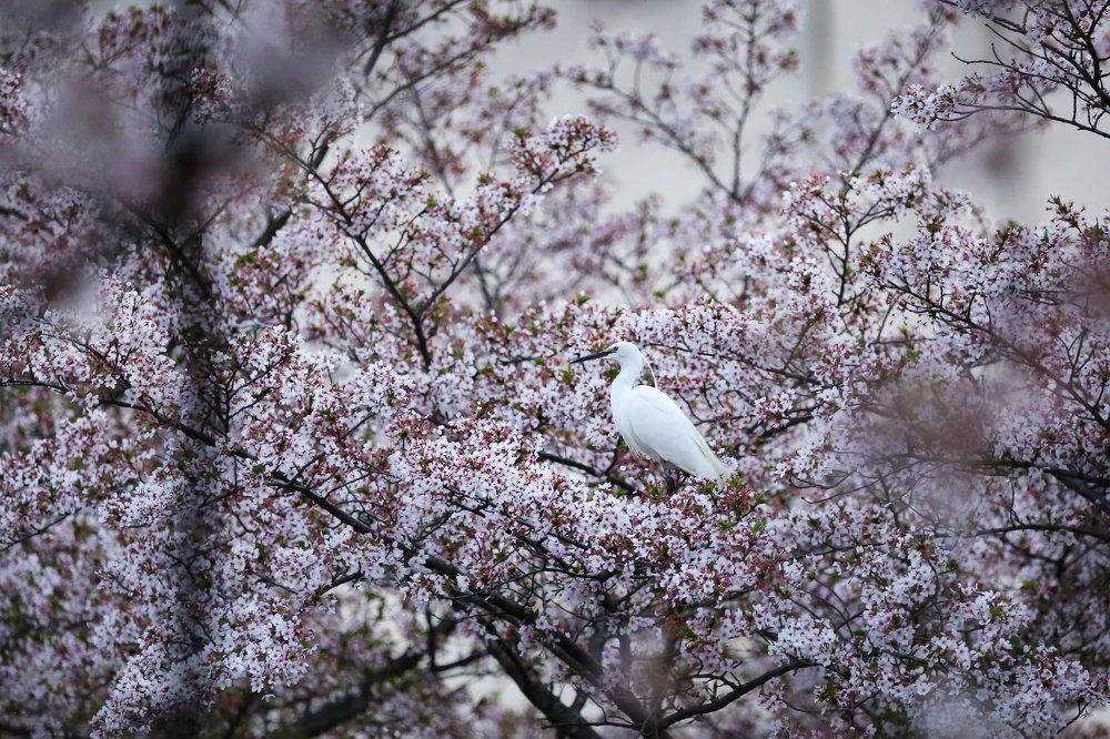 Фотография автора Елена Баврина